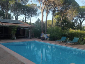 L'Esbadaia